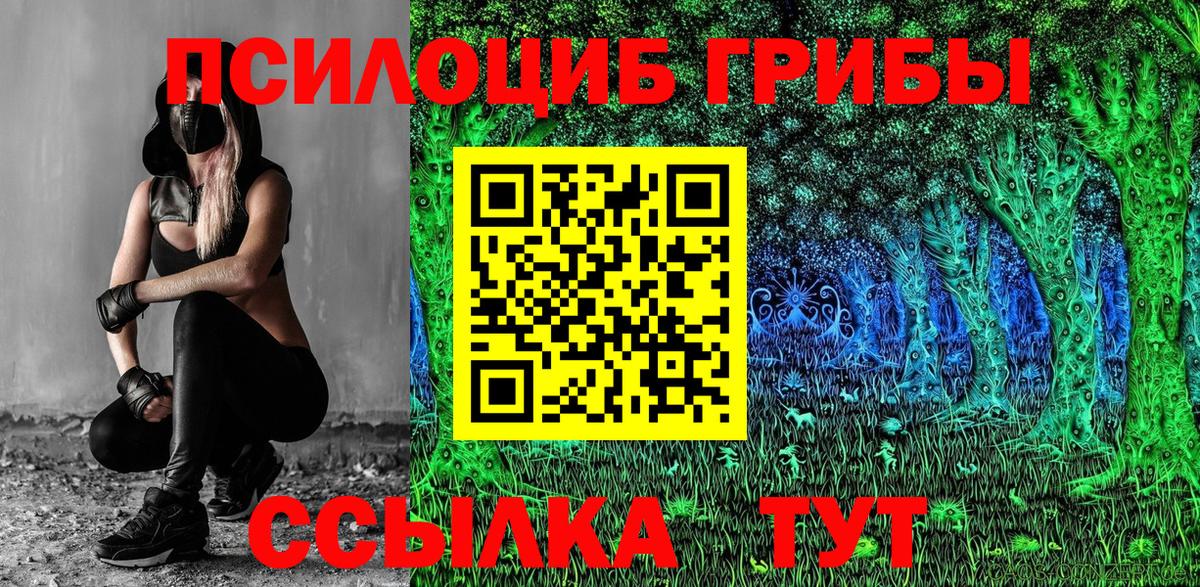 Владикавказ  Псилоцибиновые грибы мицелий  Вход с VPN  Псилоцибиновые грибы GOLDEN TEACHER 